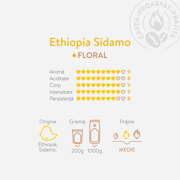 Frez Coffee Ethiopia Sidamo caracteristici
